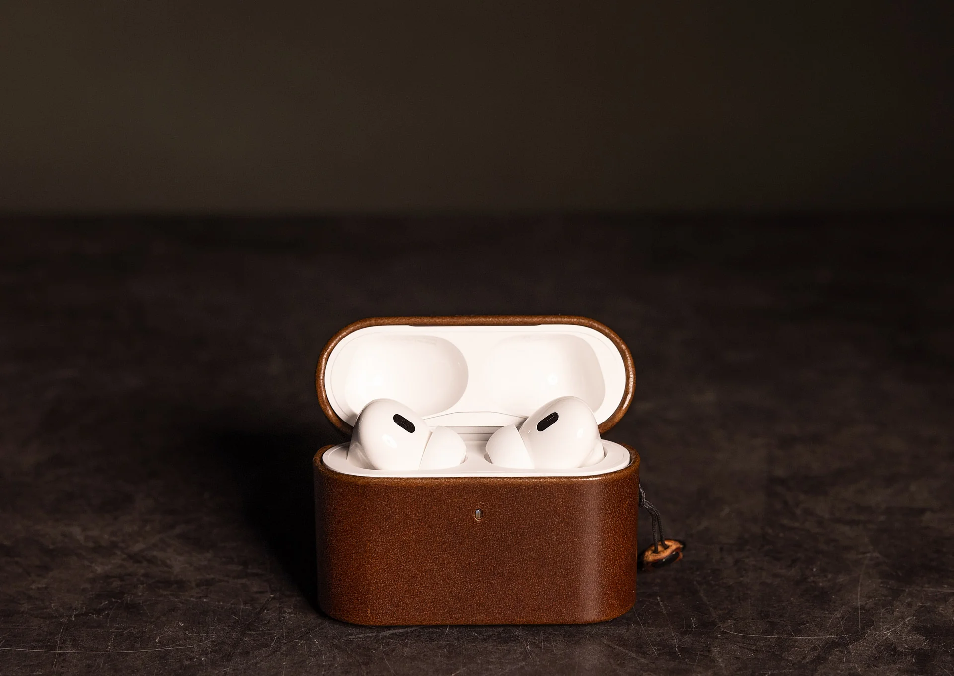 AirPods Pro Case alternate view