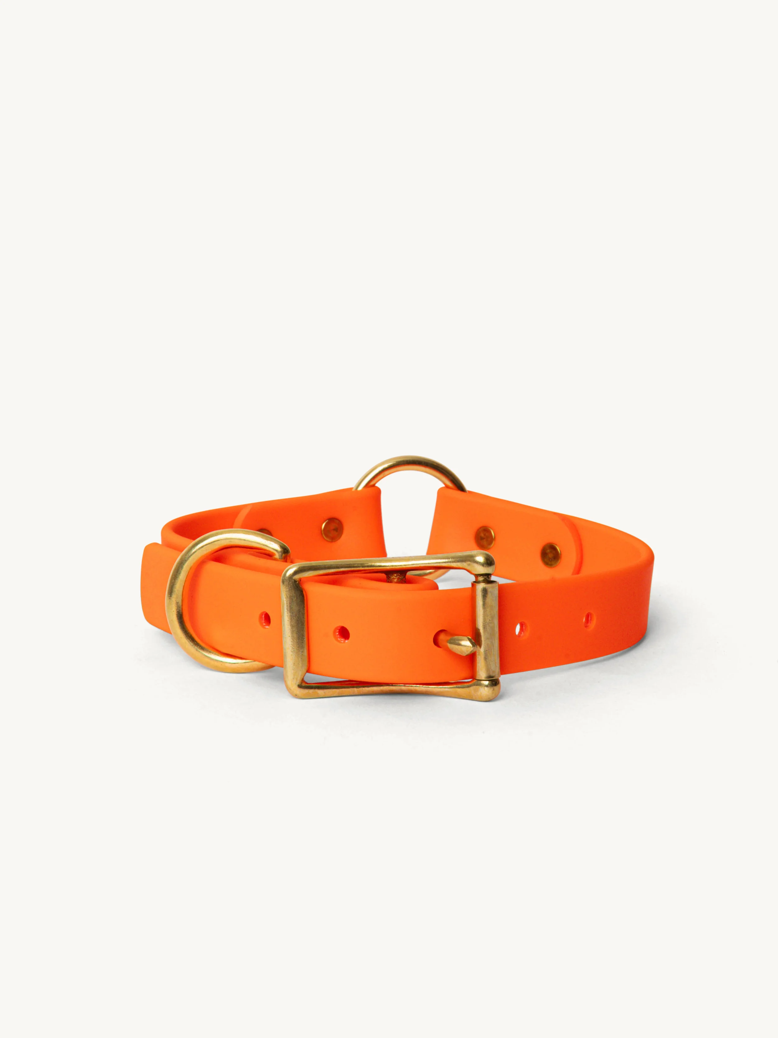 Sporting Collar alternate view